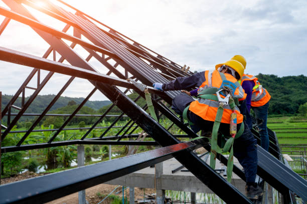 Best Roof Gutter Cleaning  in Sturgis, KY