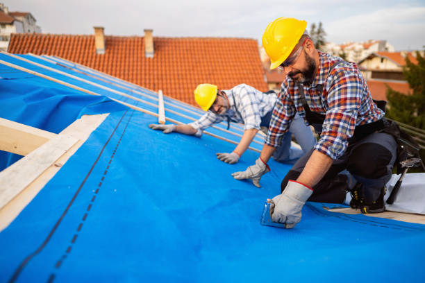 Best Storm Damage Roof Repair  in Sturgis, KY