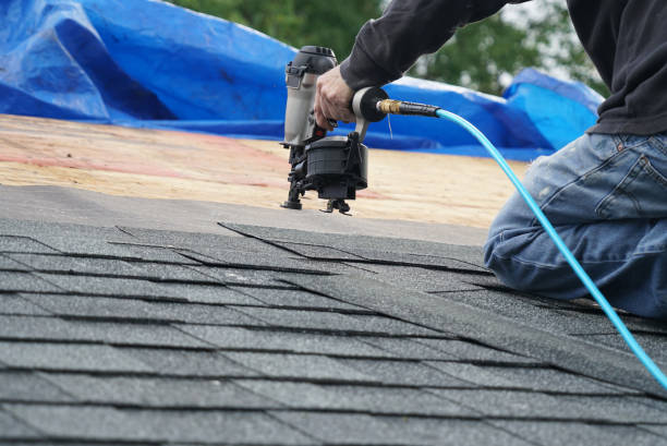 Best Shingle Roofing Installation  in Sturgis, KY